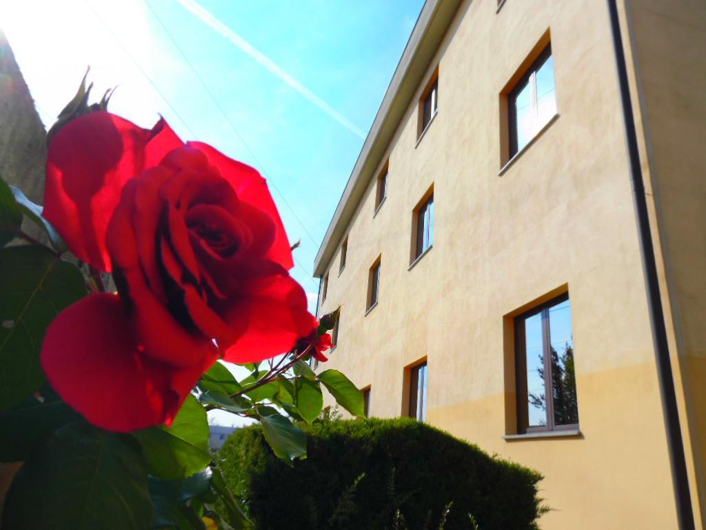 Hotel Majestic San Giuliano Milanese Kültér fotó